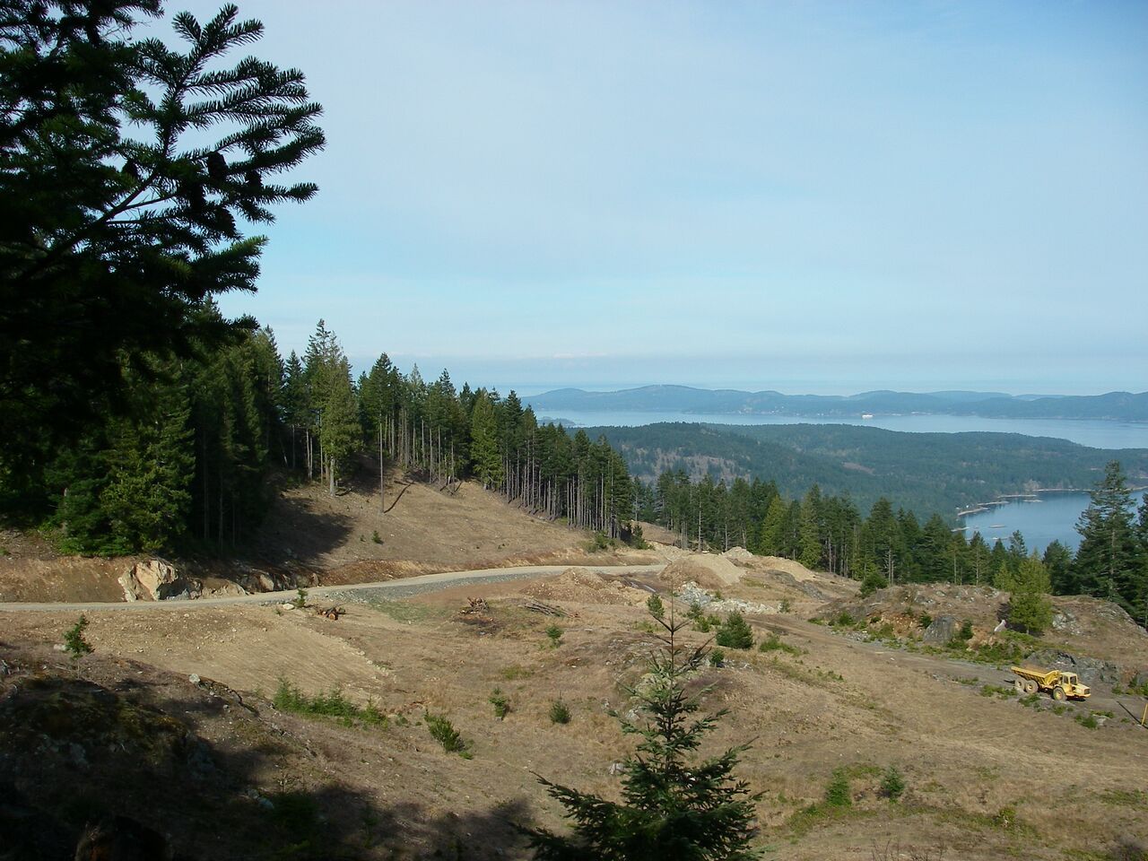 "View of a forested area with dense trees and cloudy sky, no people or equipment visible.