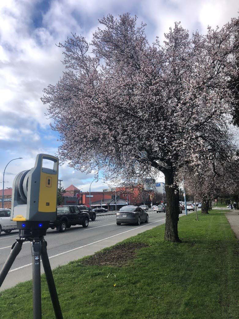 Evergreen Terrance surveying