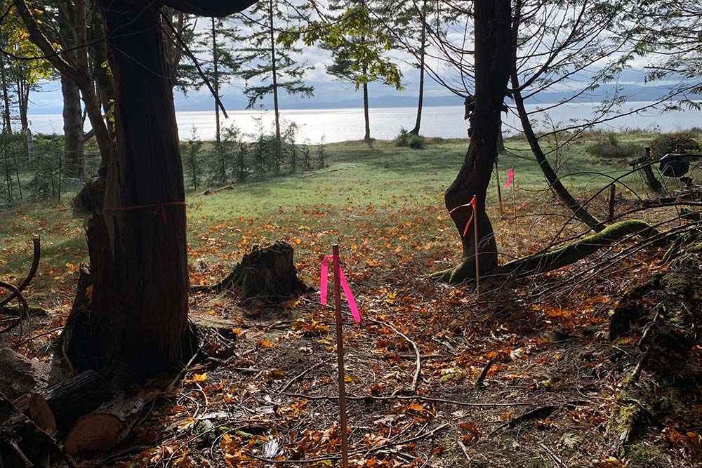 Boundary marking on Sidney Island