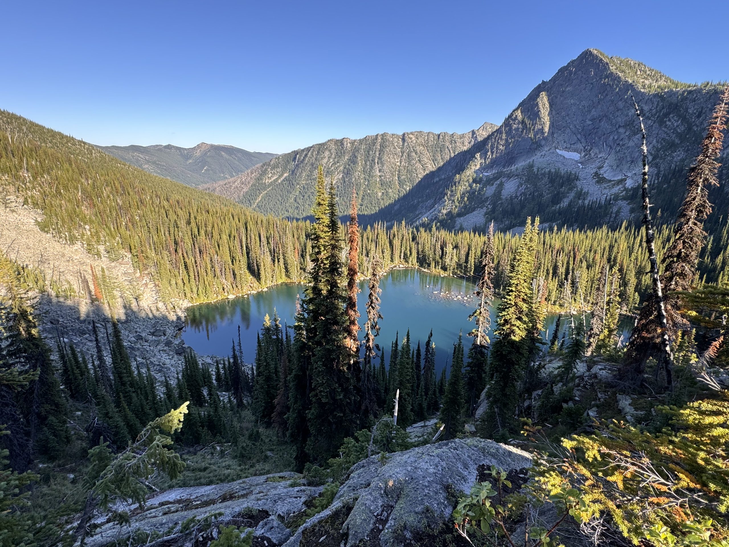 A valley with a lake, surrounded by forest